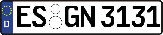 ES-GN3131