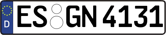 ES-GN4131