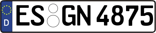 ES-GN4875