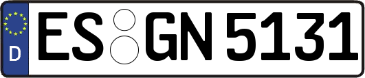 ES-GN5131