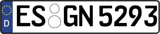ES-GN5293