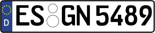 ES-GN5489