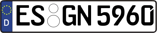 ES-GN5960