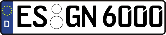 ES-GN6000