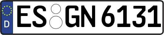 ES-GN6131