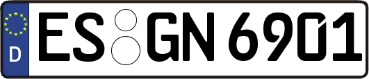 ES-GN6901