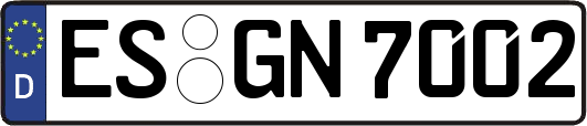 ES-GN7002