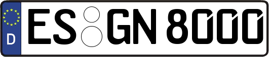 ES-GN8000