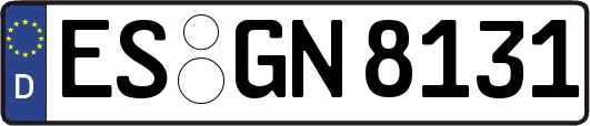 ES-GN8131