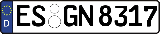 ES-GN8317