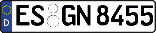 ES-GN8455