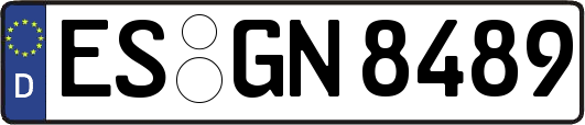 ES-GN8489