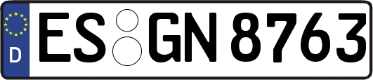 ES-GN8763