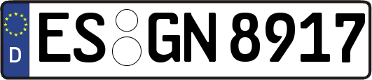 ES-GN8917