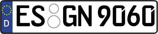 ES-GN9060