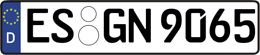 ES-GN9065