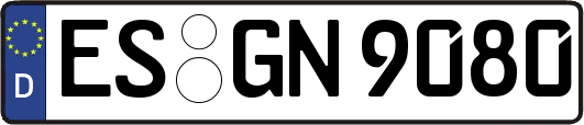 ES-GN9080