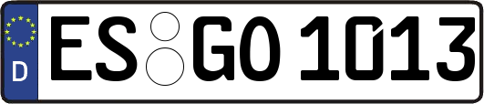ES-GO1013