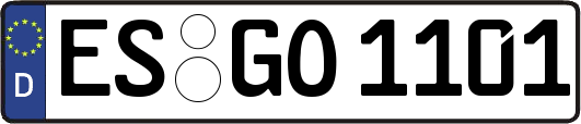 ES-GO1101