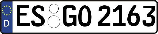 ES-GO2163