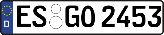 ES-GO2453