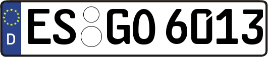ES-GO6013