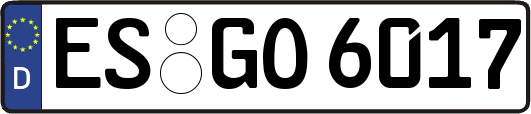 ES-GO6017