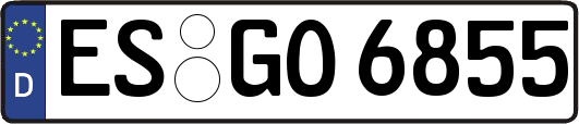 ES-GO6855