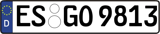 ES-GO9813