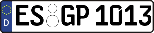 ES-GP1013