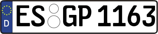 ES-GP1163