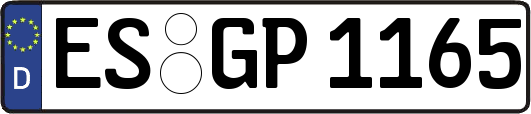 ES-GP1165