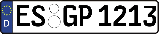 ES-GP1213