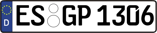 ES-GP1306