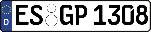 ES-GP1308