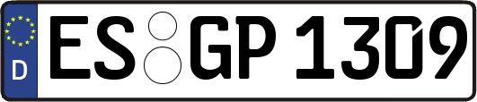 ES-GP1309