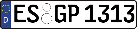 ES-GP1313