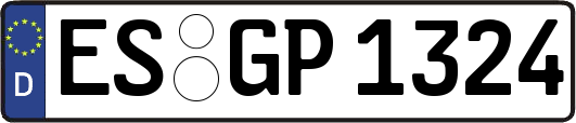 ES-GP1324
