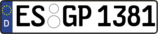 ES-GP1381