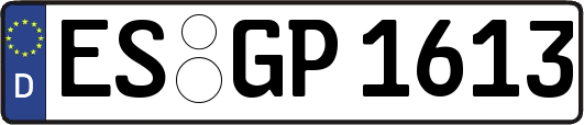 ES-GP1613
