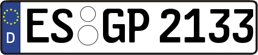 ES-GP2133