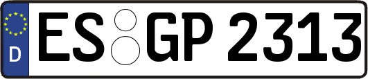 ES-GP2313