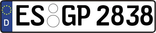 ES-GP2838