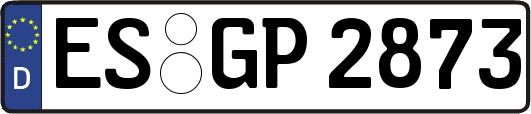 ES-GP2873