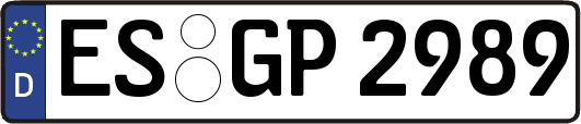 ES-GP2989