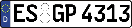 ES-GP4313