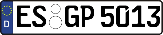 ES-GP5013
