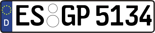 ES-GP5134