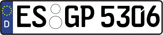 ES-GP5306