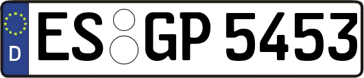 ES-GP5453